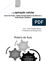 Respiração celular: ciclo de Krebs, cadeia transportadora de elétrons e fosforilação oxidativa