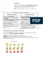 8 Reproduccion PDF