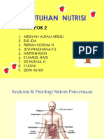 Kebutuhan Nutrisi