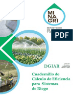 cuadernillo_eficiencia_dgiar.pdf