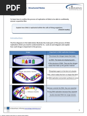 DNA Replication Worksheet | PDF | Dna Replication | Dna