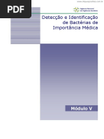 Bacterias de Importancia Medica