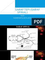 Sistem Saraf Tepi (Saraf Spinal)
