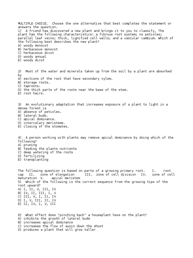 Plant Anatomy and Physiology MCQs | PDF | Root | Leaf