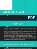 Singkong Organic