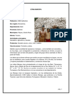 Documento MAROPA