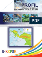 Profil KK PAPUA LENGKAP.pdf