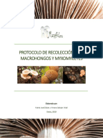 Protocolo de Recolección para Macrohongos y Myxomycetes