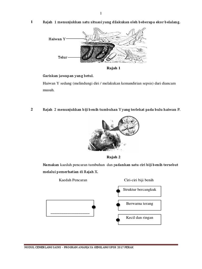 Latihan A Sains Perak Pdf