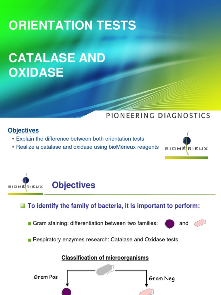 3-1 Bacterial Identification Techniques | PDF | Mass Spectrometry ...