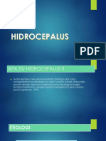 HIDROCEPALUS