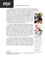 Motivação Intrínseca e Extrínseca 