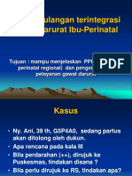 1 Pelayanan Perinatal Regional - Depkes - Editing