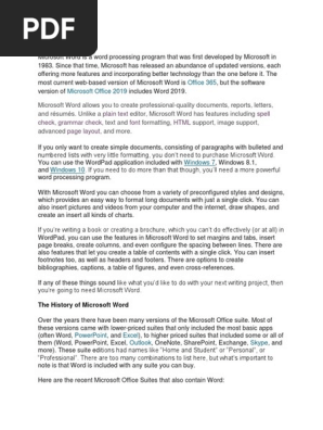 Microsoft Word