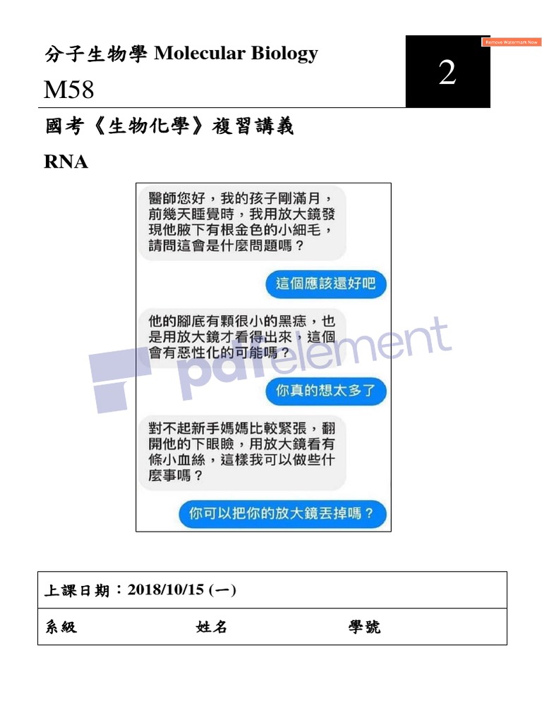 RNA | PDF