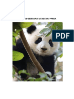 PANDA OBSERVASI