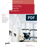 Capturing Growth Markets PDF