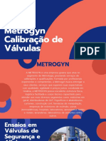 Metrogyn Calibração de Válvulas