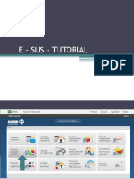 E - Sus - Tutorial