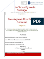 Proyecto TRA.docx