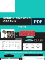 Singkong Organic