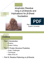 Hydrophobic Residue Patterning in - Strands and Implications For - Sheet Nucleation