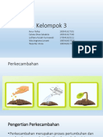 Perkecambahan