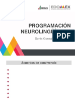 Plantilla2018 IPSP PNL