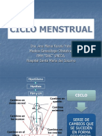 Ciclo Menstrual