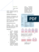 Endometrial Carcinoma