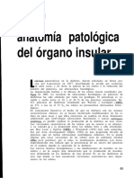 Anatomia Patologica Del Pancreas Por Diabetes