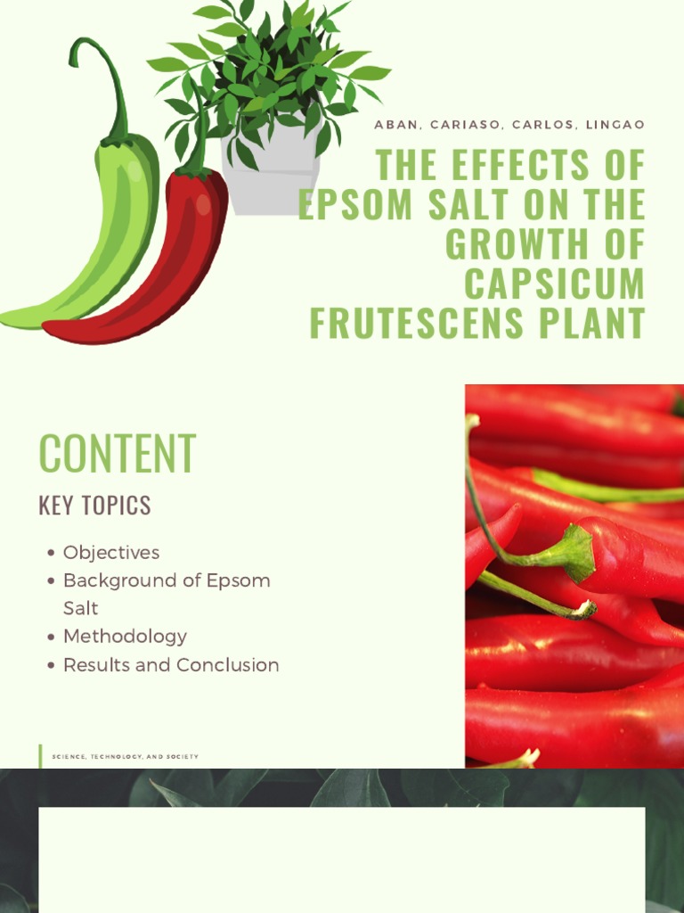Effects of Epsom Salt On Chili Pepper PDF Magnesium Chili Pepper