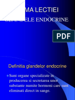 GL Endocrine