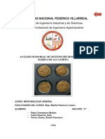 Muffins de Harina de Alcahofa - Microbiologia General - Proyecto