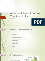 Tentir Praktikum Anatomi Cardiovascular