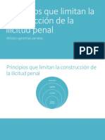 02 Principios Que Limitan La Ilicitud PDF