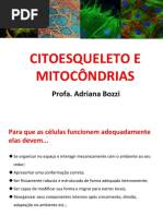 Aula 03 -Citoesqueleto e Mitocôndrias