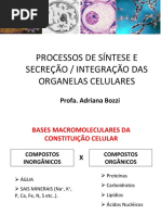 Aula 05 - Síntese e Secreção Celular Fono