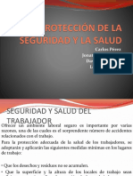 Protección de La Seguridad y La Salud-1