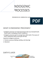 Endogenic Processes