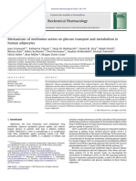 Mechanisms of Metformin Action AMPK Silenced PDF