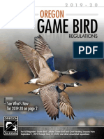 Oregon Bird Hunting 2019