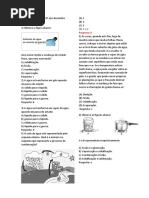 Bimestral de ciências 6º ano dezembro 2019.docx