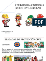 Formación de Brigadas de Proteccion Civil