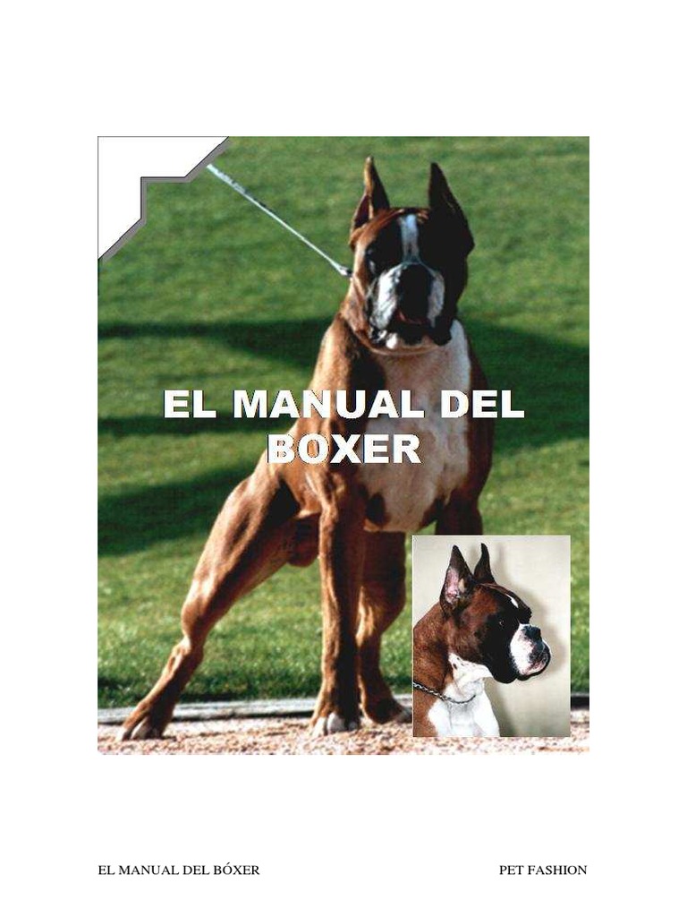 Manual Completo del Perro Bóxer | PDF | Boxer (Perro) | Perros