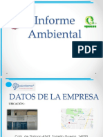 Presntacion Ambiental 1