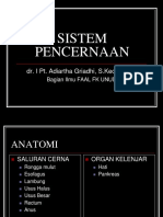 Sistem Pencernaan