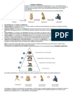 Cadena Alimenticia