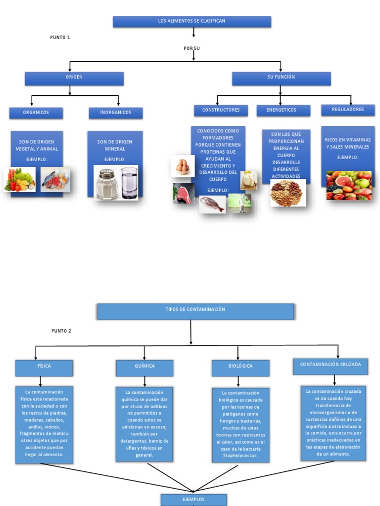 Clasificación y tipos de contaminación alimentaria | PDF | Alimentos ...