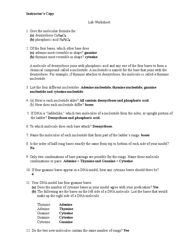DNA and RNA Structure Lab Guide | PDF | Nucleotides | Base Pair